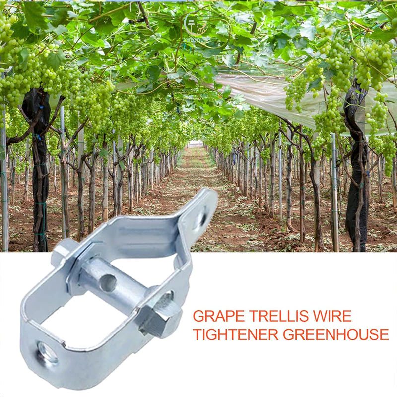 Dây thép nhà kính, dây cáp thép, vòng kẹp, khóa cài, dây sắt siết chặt-cutenerystore