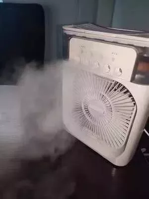 Mini Frost Fan