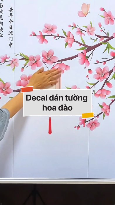 ￼Decal dán tường hoa đào #VideohangNhaCua#shopeestyle#ShopeeVideo#ShopeeCreator #LuotVuiMuaLien#KOLUyTin#Videomuasam #SandealcungKOL #diumi958