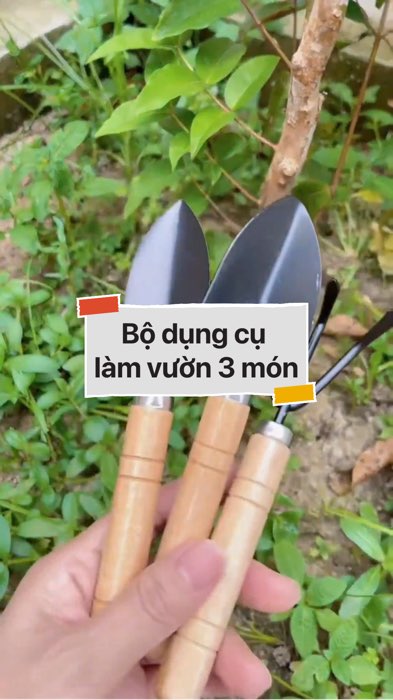 ￼Bộ dụng cụ làm vườn 3 món cán gỗ #VideohangDoiSong#ShopeeVideo#ShopeeCreator #LuotVuiMuaLien#KOLUyTin#Videomuasam #SandealcungKOL #diumi265