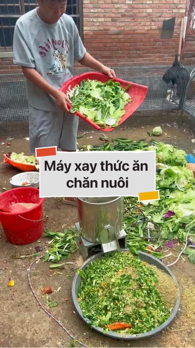 Máy xay thức ăn chăn nuôi #VideohangDoiSong#ShopeeVideo#ShopeeCreator #LuotVuiMuaLien#KOLUyTin#Videomuasam #SandealcungKOL #diumi242