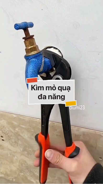 Kìm mỏ quạ đa năng #VideohangDoiSong#ShopeeVideo#ShopeeCreator #LuotVuiMuaLien#KOLUyTin#Videomuasam #SandealcungKOL #diumi328