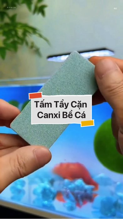 Tấm Tẩy Cặn Canxi Bể Cá #VideohangDoiSong#ShopeeVideo#ShopeeCreator #LuotVuiMuaLien#KOLUyTin#Videomuasam #SandealcungKOL #diumi429