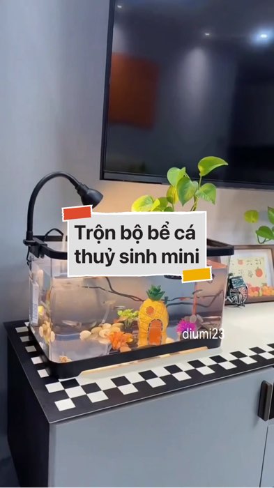 Trộn bộ bể cá thuỷ sinh mini #VideohangDoiSong#ShopeeVideo#ShopeeCreator #LuotVuiMuaLien#KOLUyTin#Videomuasam #SandealcungKOL #diumi431