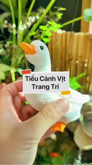 ￼Tiểu Cảnh Vịt Trang Trí Hồ Cá, Bể Cá, Bonsai, Terrarium,... #VideohangDoiSong#ShopeeVideo#ShopeeCreator #diumi432 #KOLUyTin#Videomuasam