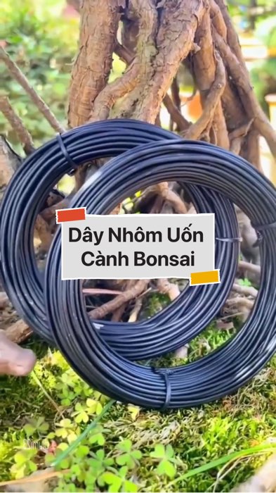 Dây Nhôm Uốn Cành Bonsai #VideohangDoiSong#ShopeeVideo#ShopeeCreator #LuotVuiMuaLien#KOLUyTin#Videomuasam #SandealcungKOL #diumi443