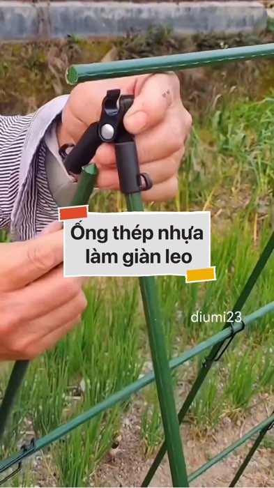 ￼Ống Thép Bọc Nhựa Làm Giàn Leo #VideohangDoiSong#ShopeeVideo#ShopeeCreator #LuotVuiMuaLien#KOLUyTin#Videomuasam #SandealcungKOL #diumi590