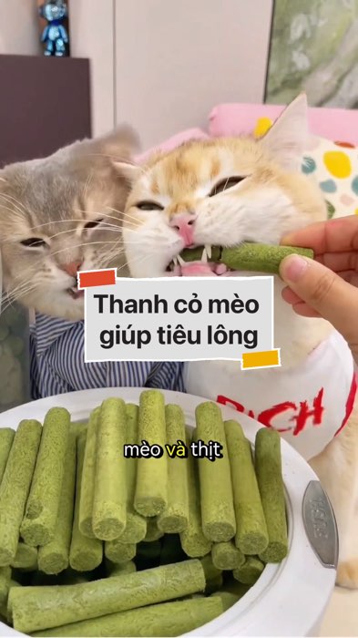 Thanh cỏ mèo giúp tiêu lông #VideohangTieuDung #shopeestyle#ShopeeVideo#ShopeeCreator #LuotVuiMuaLien#KOLUyTin#Videomuasam #SandealcungKOL #diumi673