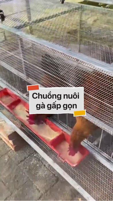 Chuồng nuôi gà gấp gọn #VideohangDoiSong#ShopeeVideo#ShopeeCreator #LuotVuiMuaLien#KOLUyTin#Videomuasam #SandealcungKOL #diumi700