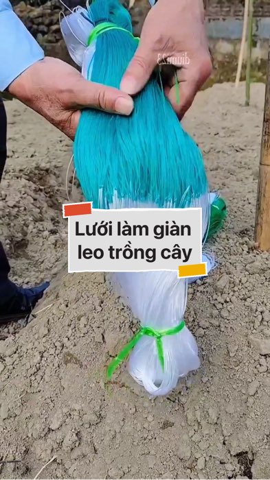 Lưới làm giàn leo trồng cây #VideohangDoiSong#ShopeeVideo#ShopeeCreator #LuotVuiMuaLien#KOLUyTin#Videomuasam #SandealcungKOL #diumi712