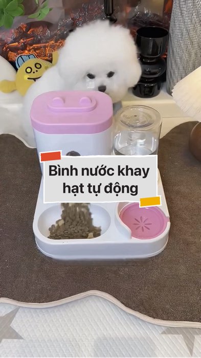 Bình nước khay hạt tự động cho thú cưng