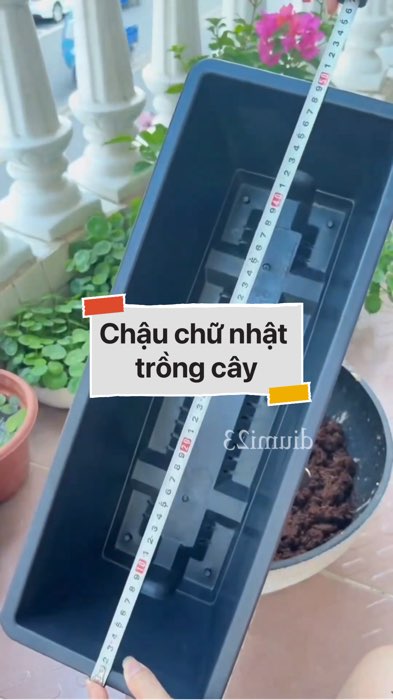 ￼Chậu chữ nhật trồng cây #VideohangDoiSong#ShopeeVideo#ShopeeCreator #LuotVuiMuaLien#KOLUyTin#Videomuasam #SandealcungKOL #diumi682