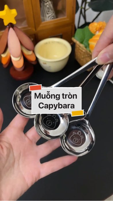 Muỗng tròn phẳng Capybara #VideoHangGiaDung#shopeestyle#ShopeeVideo#ShopeeCreator #LuotVuiMuaLien #diumi748