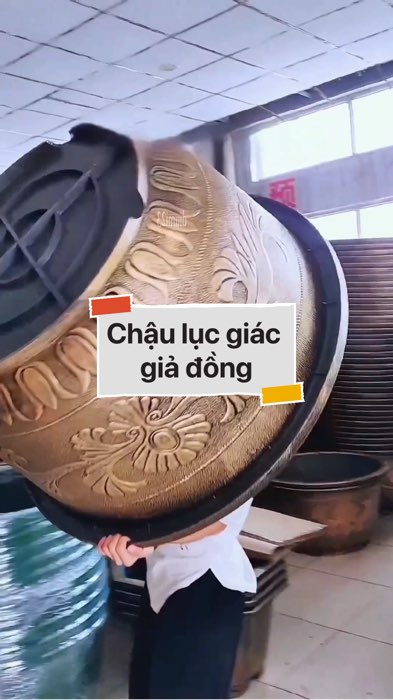 ￼Chậu lục giác giả đồng #VideohangDoiSong#ShopeeVideo#ShopeeCreator #LuotVuiMuaLien#KOLUyTin#Videomuasam #SandealcungKOL #diumi194