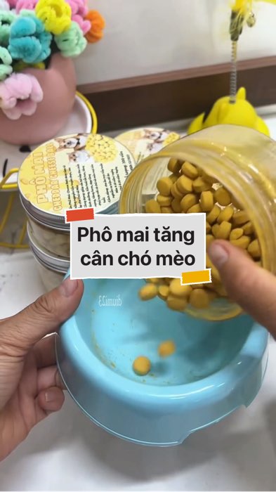 Phô mai tăng nọng cân cho chó mèo