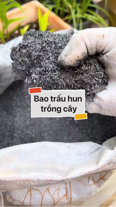 ￼Bao trấu hun trồng cây #VideohangDoiSong#ShopeeVideo#ShopeeCreator #LuotVuiMuaLien#KOLUyTin#Videomuasam #SandealcungKOL #diumi305