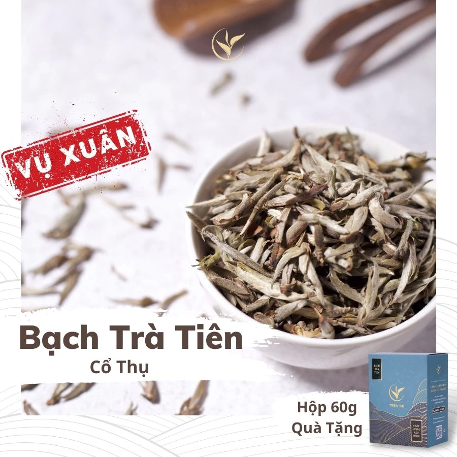 Bạch trà tiên vụ xuân trà đáp án câu hỏi trung thu nên tặng quà gì