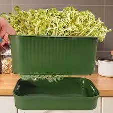 Khay Làm Giá Đỗ Có Nắp Đậy Tiện Dụng , Nhựa An Toàn, Không Dùng Đất , Không Dùng Hoá Chất