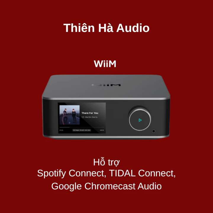 Ampli - Streaming - DAC Wiim