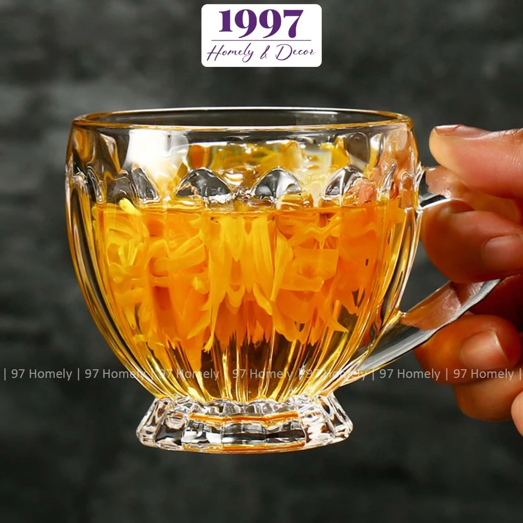 [Bộ 6] Ly Thủy Tinh Teacup Có Quai 97HOMELY Chất Liệu Borosilicate Hoa Văn Đẹp Mắt DT251003001
